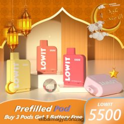 ELFBAR LOWIT 5500 előretöltött hüvely áfonyás jég L8448R374 - Elf Bar Ár