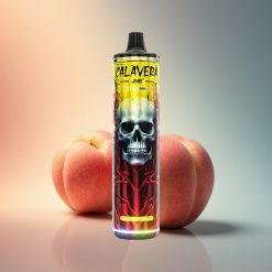JNR Calavera 11000 Barack Mangó 850 mAh 21ml 1.0ohm Mesh