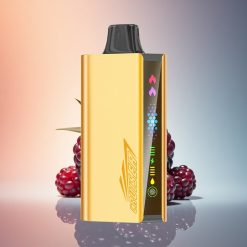 JNR Cruiser 12000 Feketeáfonya Jég Dual Mesh 3500 mAh