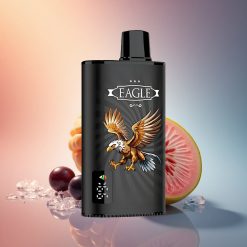 JNR EAGLE Smart 23000 Feketeribis Mangó Jég Digitális Kijelző 1.0ohm Mesh tekercs 750mAh