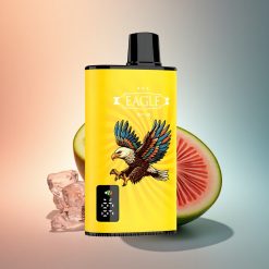 JNR EAGLE Smart 23000 Kivi Görögdinnye Jég 1.0ohm Mesh Coil 750mAh 25ml