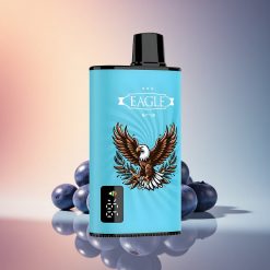 JNR EAGLE Smart 23000 Áfonya Jég 1.0ohm Mesh Coil 750mAh