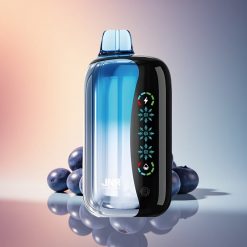 JNR Flex Ice 21000 Áfonya Jég Dual Mesh 1000mAh Típus-C