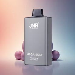 JNR Mega Box 25000 Áfonyás Buborékrágó 850mAh Típus-C