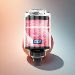 JNR Mega Shisha Hookah 100K Barackjég 60ml 2200mAh 2% nikotin