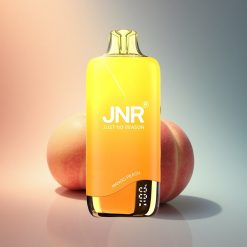 JNR Rainbow 10500 Mangós Barack 600mAh Mesh Coil