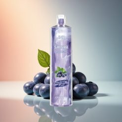 JNR Shisha Hookah 12000 Kékáfonya Pehely 750mAh 0% nikotin